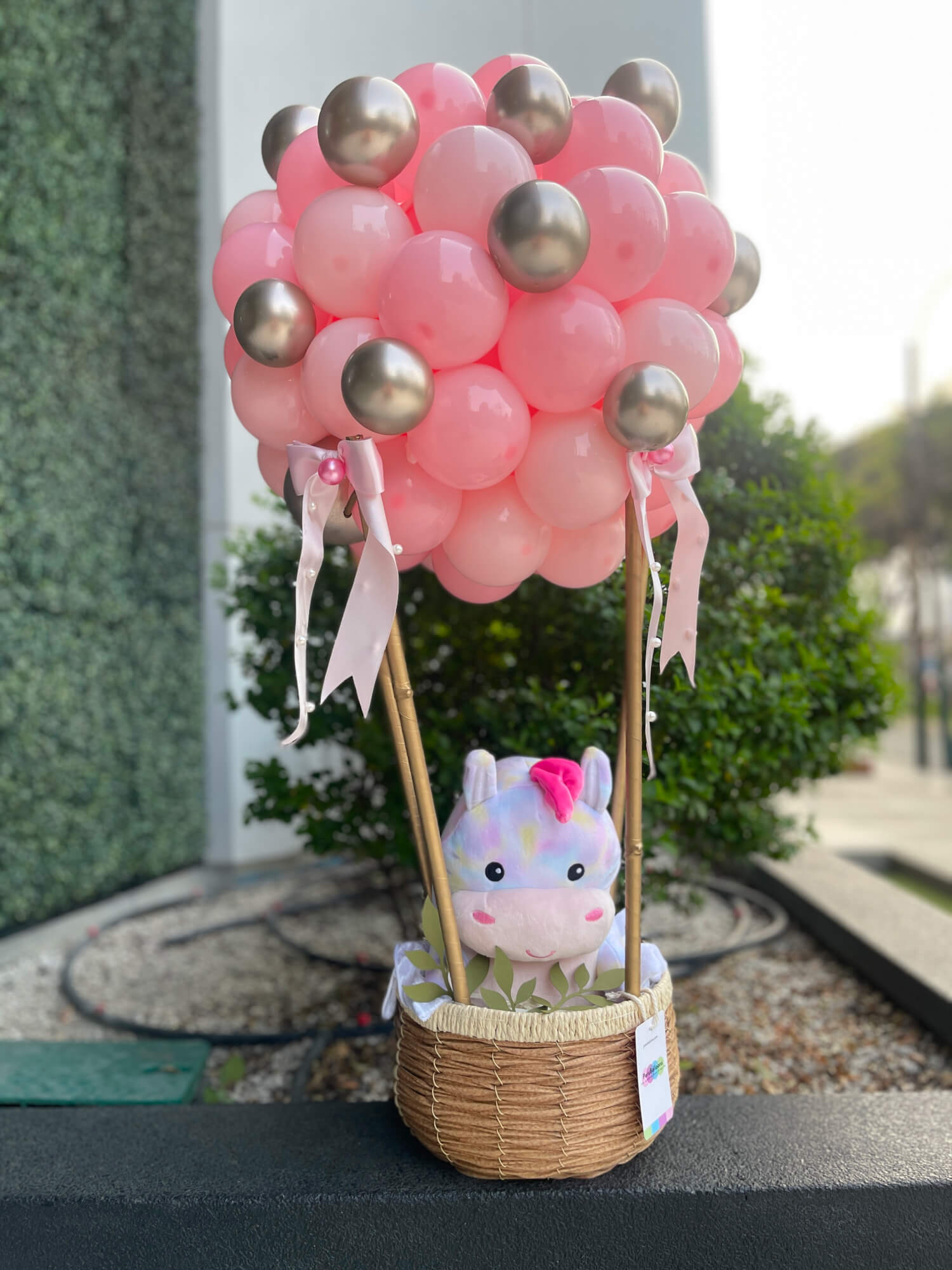 Arreglo de Globos Aerostático Mini